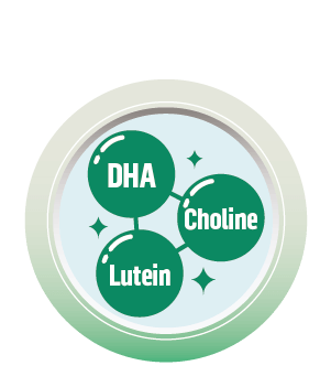 DHA, Choline and Lutein