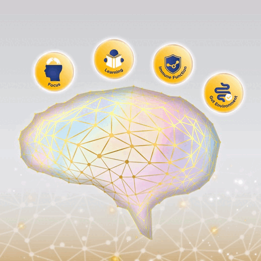 brain